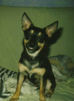 See Griffy Smile?