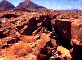 Vast solitude. No technology. Just culture, nature and silence!