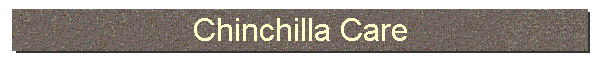 A Chinchilla's Needs