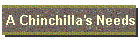 A Chinchilla's Needs