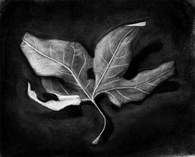 clcik on the image to go to the next one