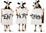 cows on strike!&nbsp; got milk?
