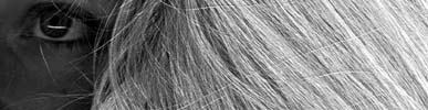 click anywhere on the image to return to the "photos of ilona" page