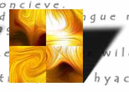golden lily