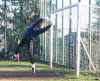 moreno in volo.JPG (99504 byte)