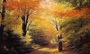 autumn scene