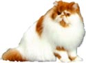 Persian