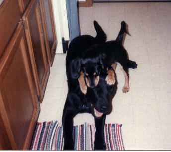 image of shelby and jake
