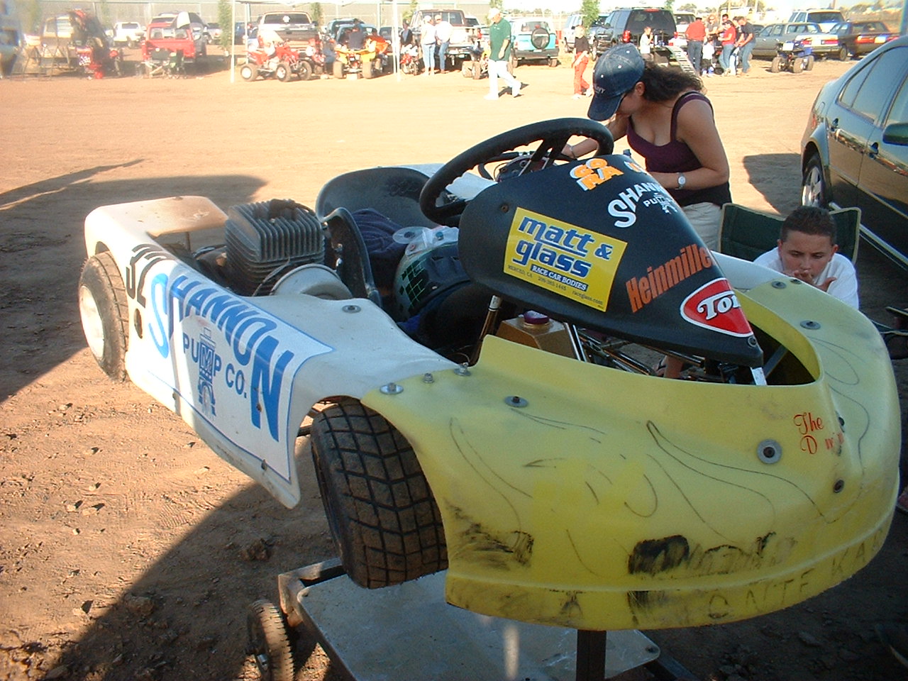 chow 2002