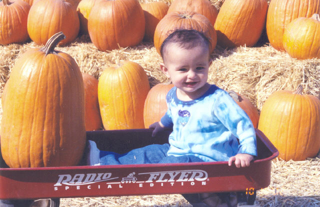 1 year old