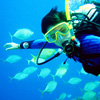 Dive Package