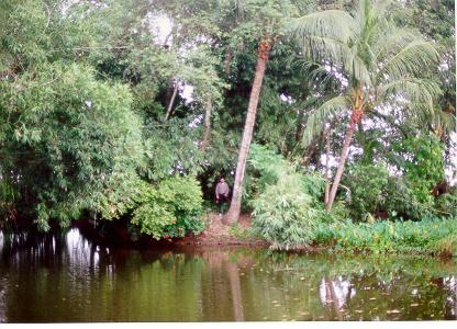 A visit to a village in Bengal is indeed an experience of peace and fullness of life