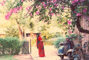 A bid bouganvilla tree adds beauty to entrace and its surrounding