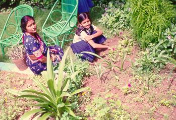 Rachana and Sudarshana engrossed in garden