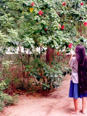 With knee long thick black hair, Sudarshana adds beauty to garden