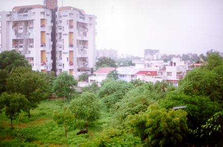 Tall buildings amidst greenery - thats Ahmedabad