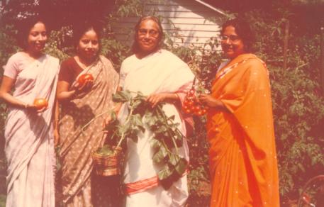 Home grown tomatoes at garden of Dr. Hasi Das