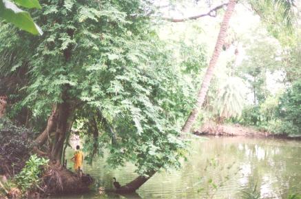 In the village of Ichhapur during one hot afternoon