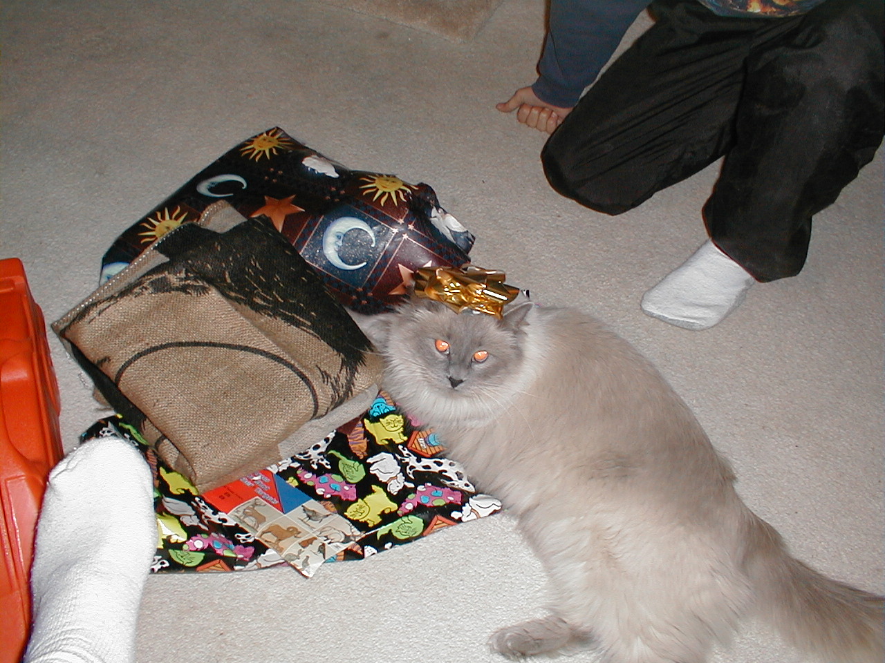 The Great...the Mighty...[and the Clawless] moth slayer!!