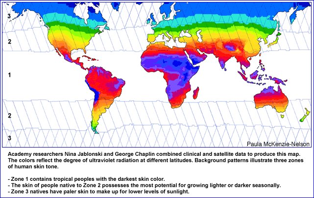 27 Skin Color Map Of The World - Maps Database Source