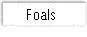 Foals