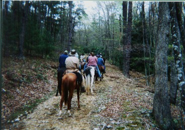 The whole gang on the New River Trail....I