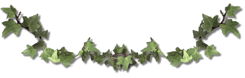 ivy