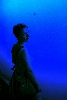 An Aquarius in an Aquarium