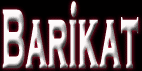 Barikat
