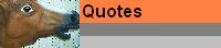 Quotes