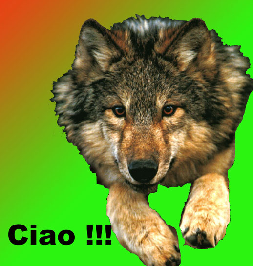 LUPO SOLITARIO