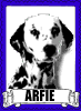 Arfie rules