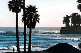 Cowells Beach