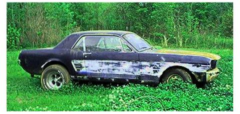 Second 1966 Mustang with 289 engine, interior not good, motor will run needs carborator work.