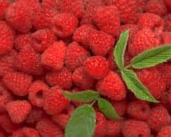 raspberry