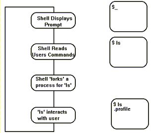 background sort