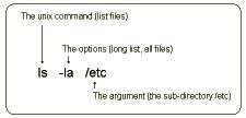ls command