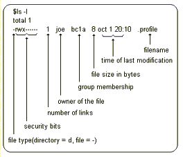file security bits