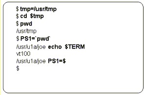 defining a shell variable
