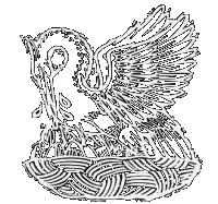 Pelican