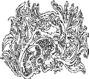 Salamander