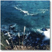 Vote to see a BIT OF THE TASMAN SEA blown up!