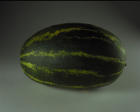 Vote to see a WATERMELON blown up!