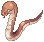 Anacondaq