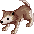 Baby Desert Wolf