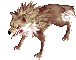 Desert Wolf