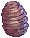 Pupa