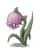 Singing Flower