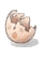 Tiny Egg Shell