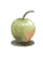 Unripe Apple